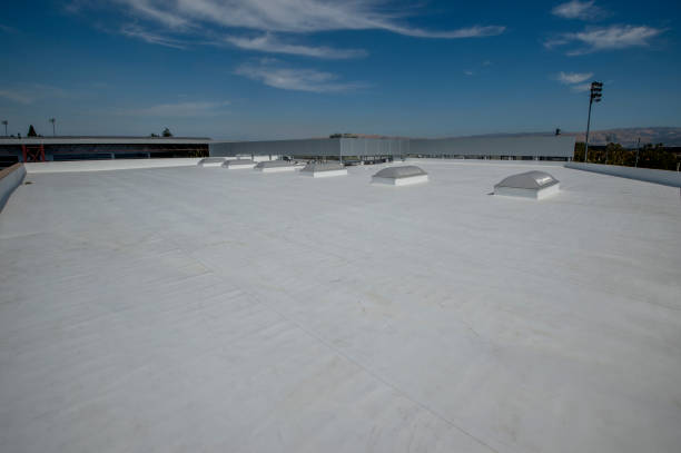 Best Roof Moss and Algae Removal  in Harb, OR