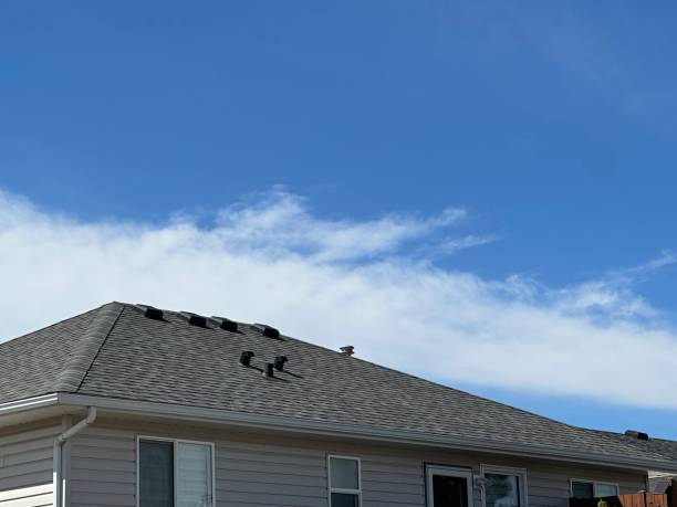 Asphalt Shingles Roofing in Harbor, OR